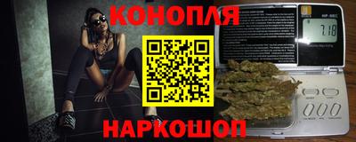 Альфа ПВП Дубна