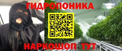 ГАЛЛЮЦИНОГЕННЫЕ ГРИБЫ Донецк