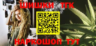Альфа ПВП Дубна