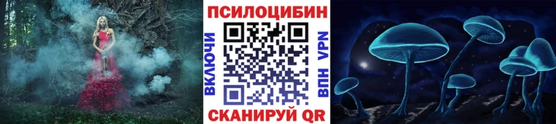 Псилоцибиновые грибы Cubensis  Егорьевск 