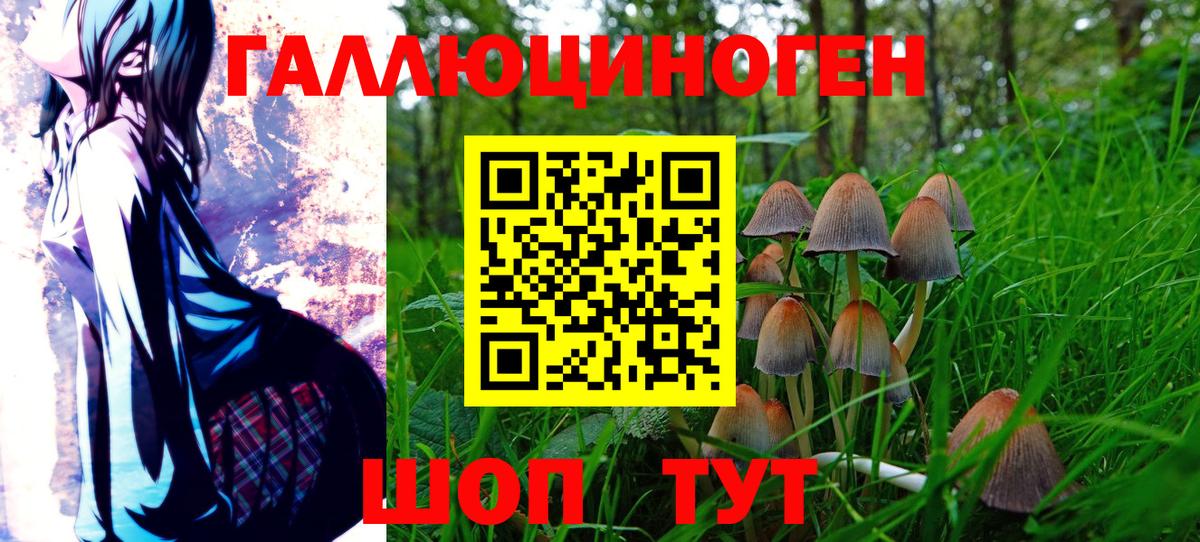 Псилоцибиновые грибы GOLDEN TEACHER  как найти   Егорьевск  Вход с VPN 