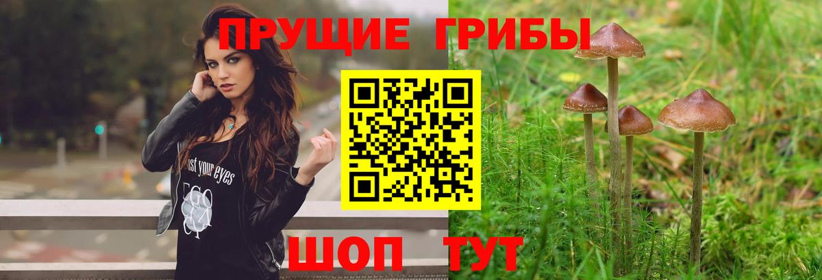 Псилоцибиновые грибы ЛСД Егорьевск