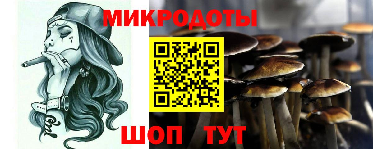 Псилоцибиновые грибы Psilocybe  Егорьевск 